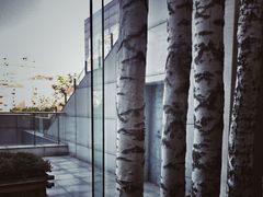 -青岛海尔洲际酒店