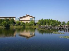 -溱湖国家湿地公园