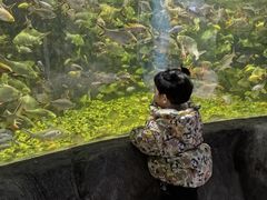 -左海海底世界