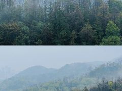 -云碧峰国家森林公园