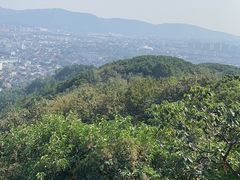 -灵岩山风景区