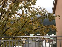 -重庆南山海昌汤都