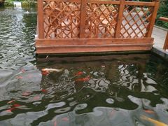 -汤山翠谷生态餐厅