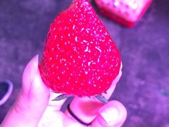 -双福水果批发市场