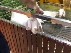 -上海大自然野生昆虫馆(东方明珠·爬宠昆虫探索中心)