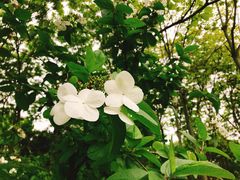 -白塘生态植物园