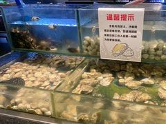-钱小奴创意自助餐厅·原切谷饲安格斯畅吃(宁波慈溪爱琴海店)