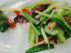 -云中小雅