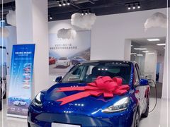 -TESLA 特斯拉(深圳观澜特斯拉直营钣喷中心)