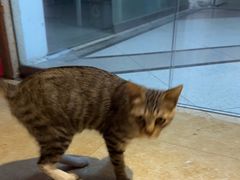 -逃脱反斗城沉浸剧情密室(北京路店)