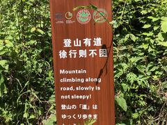 -王顺山国家森林公园