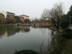 -峙山公园