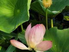 -南京中医药大学(仙林校区)