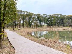 -同里国家湿地公园
