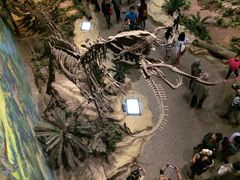 恐龙博物馆-自贡恐龙博物馆