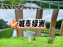 -福田红树林生态公园