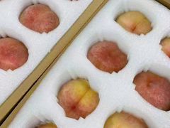 -老袁家蜜桃农场·阳山水蜜桃