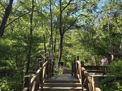 -大岭沟猕猴桃谷风景区