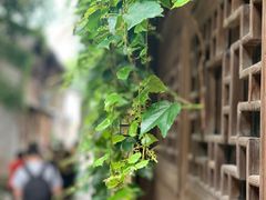 -乌镇东栅景区