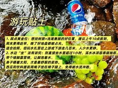 -李东农庄(中南百草园地标店)