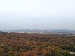 -灵谷景区