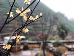 -心无尘茶餐馆(径山村店)