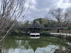 -上海醉白池公园