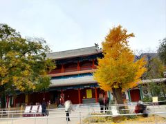 -潭柘寺景区