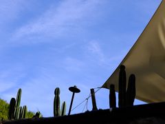 -MOJ coffee(瓯海泽雅水碓坑店)