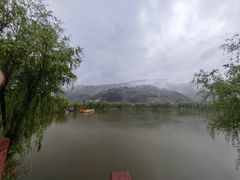 -后柳水乡