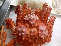 -旺顺阁海鲜广场(亚运村店)