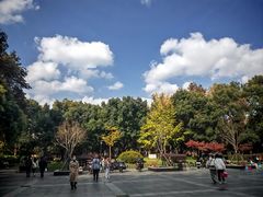 -中山公园