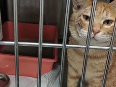 -爱诺耐芙动物医院(万博店)