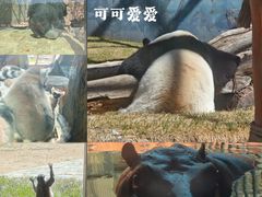 -鄂尔多斯野生动物园