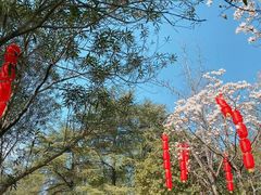 -梁祝景区