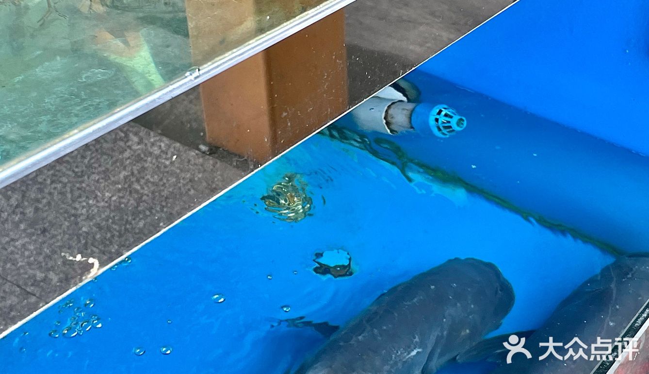 不吹不黑，这家是好吃的…