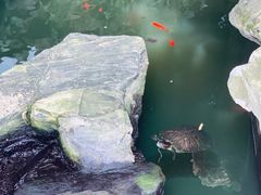 -谷咖啡·鲜花绿植花园餐厅