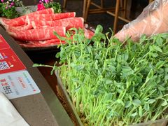 -捞王锅物料理(上海世茂广场店)