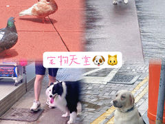-赤柱市集