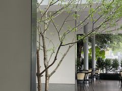 -铜锣湾·有麝自然香(渝北财富中心店)