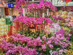-盒马鲜生(双清路店)