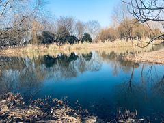 -梁鸿国家湿地公园