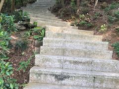-小南山公园