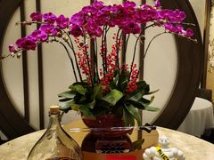 -万豪金殿(香港JW万豪酒店)