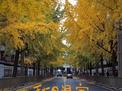 -四川大学(华西校区)