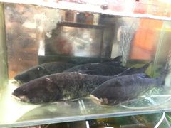 -正宗波记潮州砂锅粥(新洲一街店)