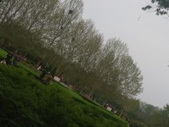 -洛阳市隋唐城遗址植物园