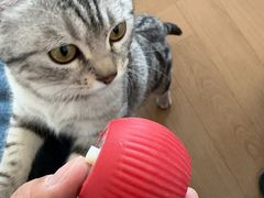 -佳雯宠物医院·皮肤科·内外科(春晓路分院)