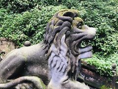 -青城山