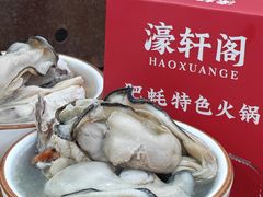 -濠轩阁特色生蚝火锅(水湾路店)